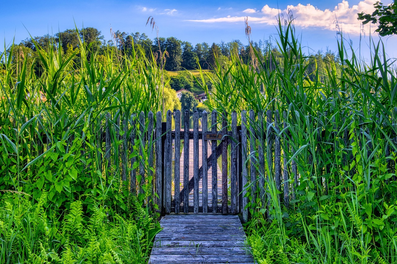 Das perfekte und optimal passende Gartentor für jedes Grundstück